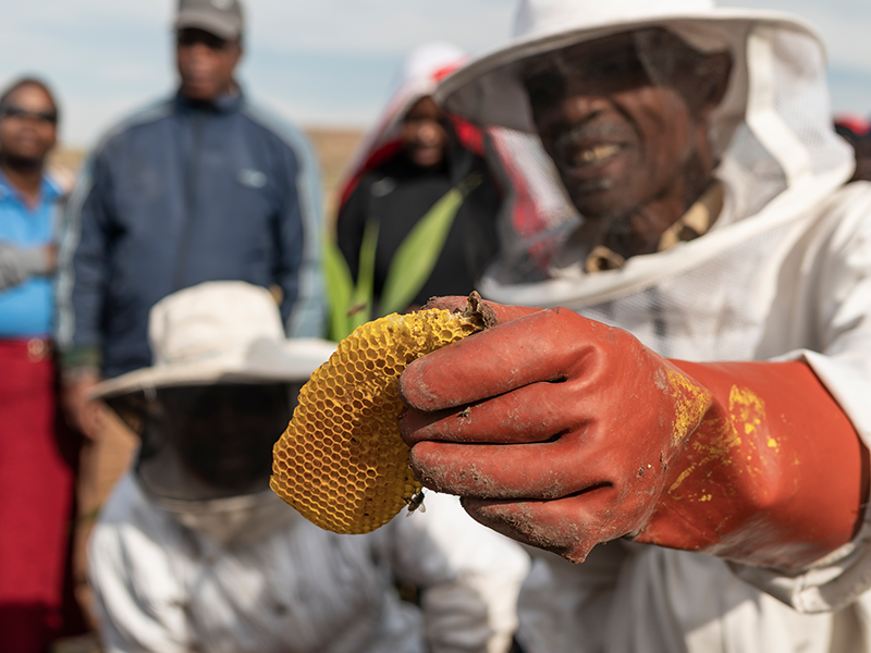 Weltbienentag 2022:<br> Mit einem Bienenstock doppelt Freude schenken!