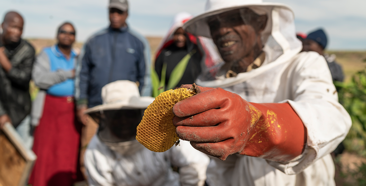 Weltbienentag 2022:<br> Mit einem Bienenstock doppelt Freude schenken!