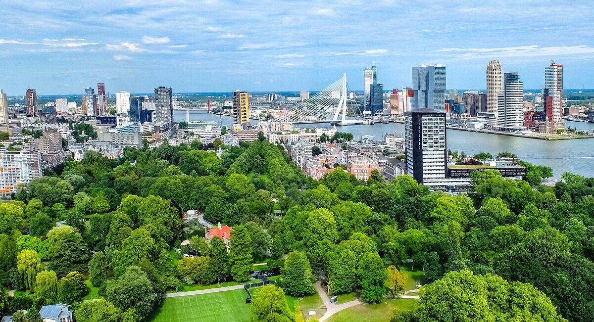 „Grün in die Stadt“ – Initiative für mehr urbane Begrünung in deutschen Städten