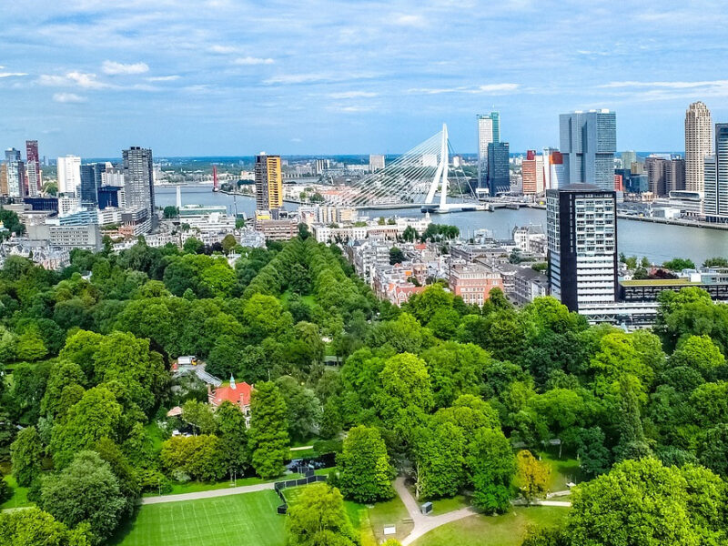 „Grün in die Stadt“ – Initiative für mehr urbane Begrünung in deutschen Städten