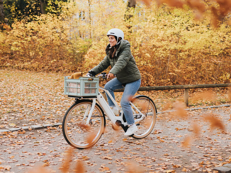 Der richtige Umgang mit dem eBike Akku<br/>in der kalten Jahreszeit